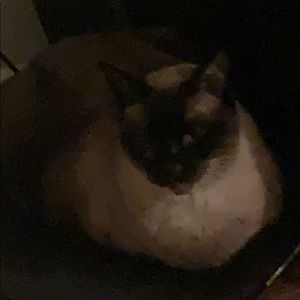 Meet your Posher, Ryly